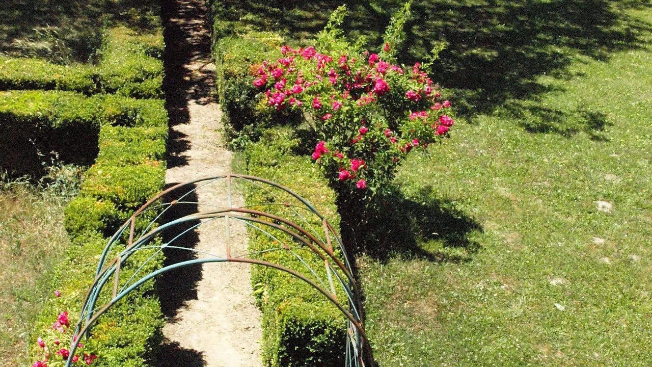 Photo of Outdoor in Creon-dArmagnac