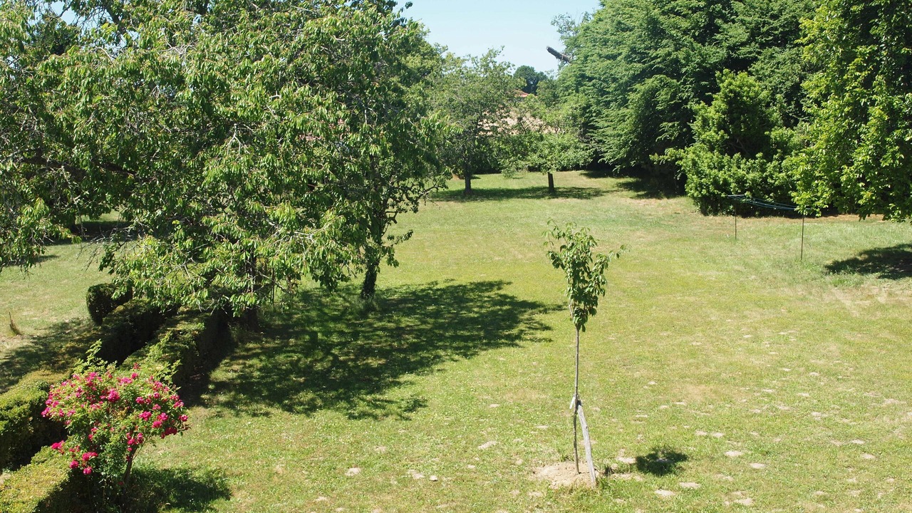 Photo of Outdoor in Creon-dArmagnac