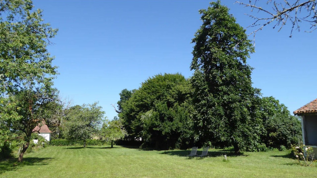 Photo of Outdoor in Creon-dArmagnac