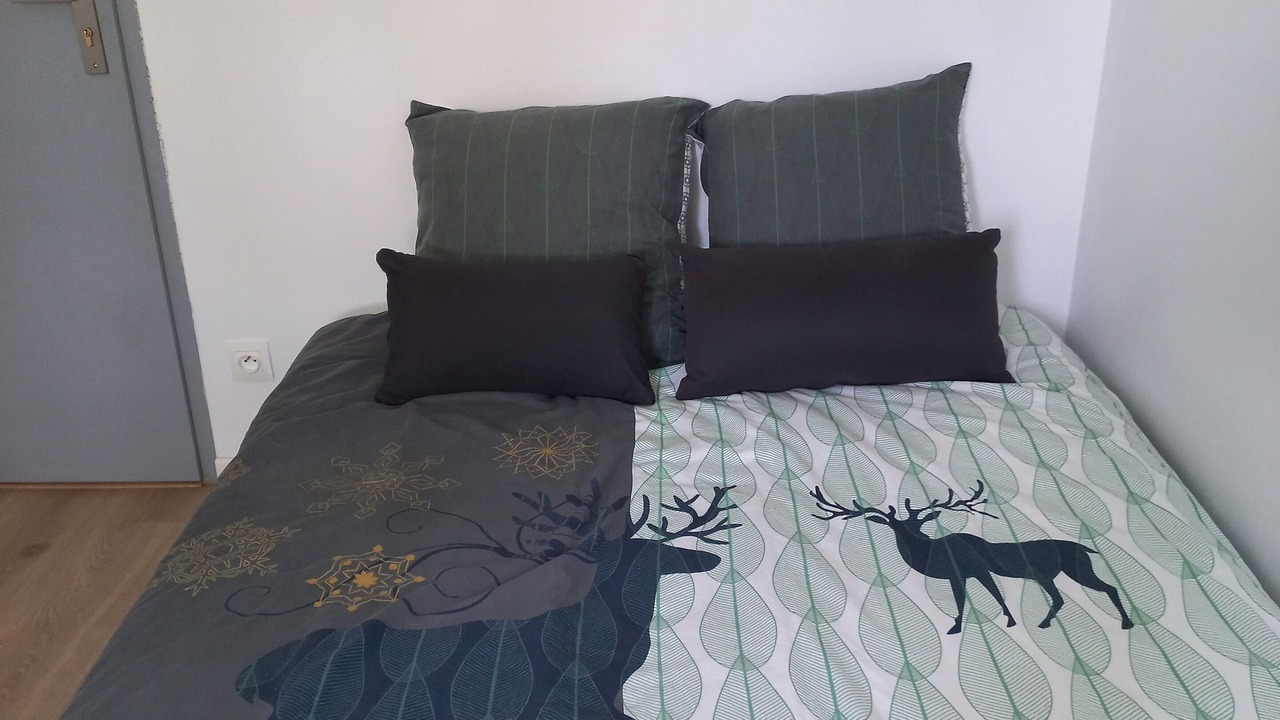 Photo of Bedroom in Cenon