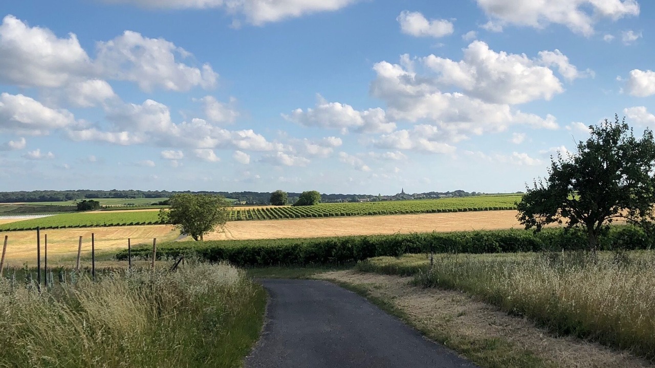 Photo of Others in Haute-Saintonge
