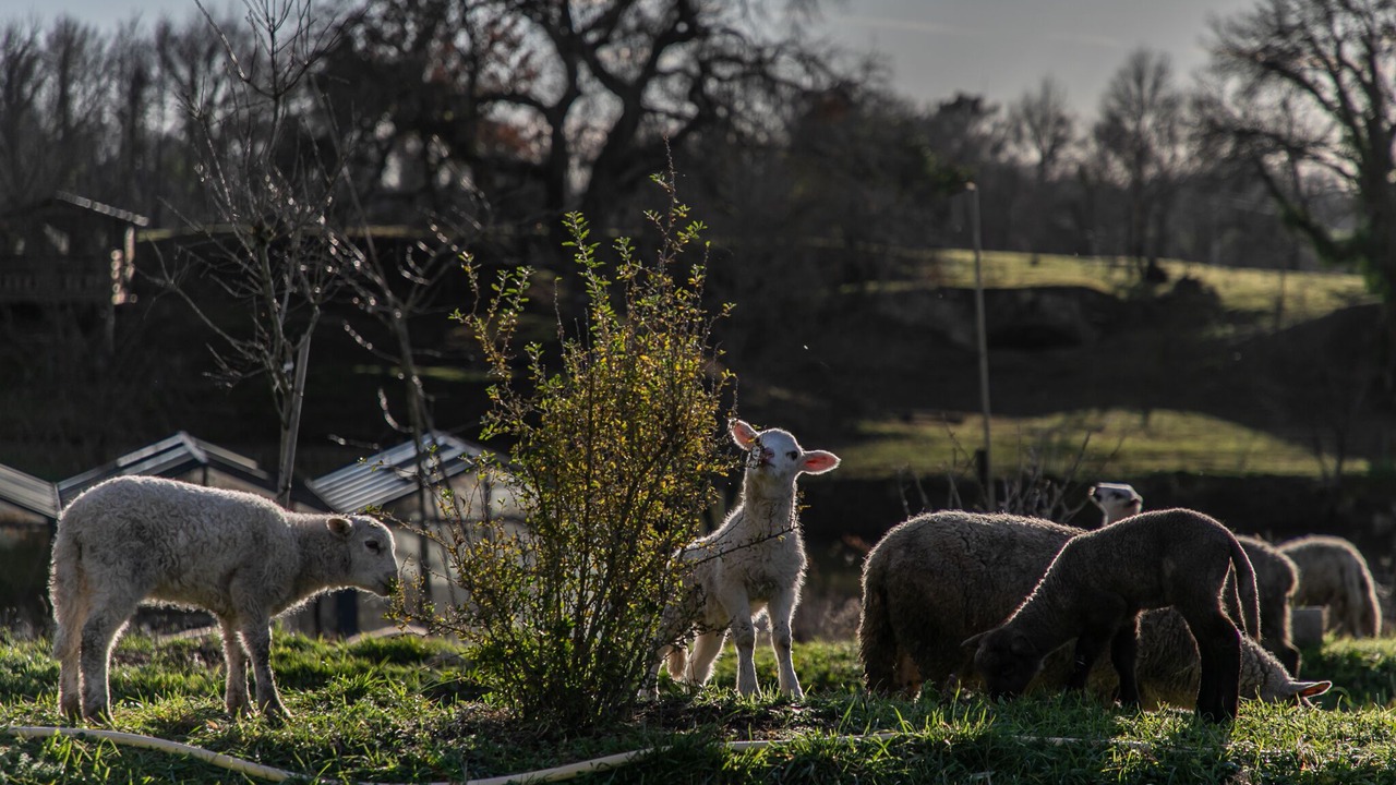 Photo of Outdoor in La Clotte