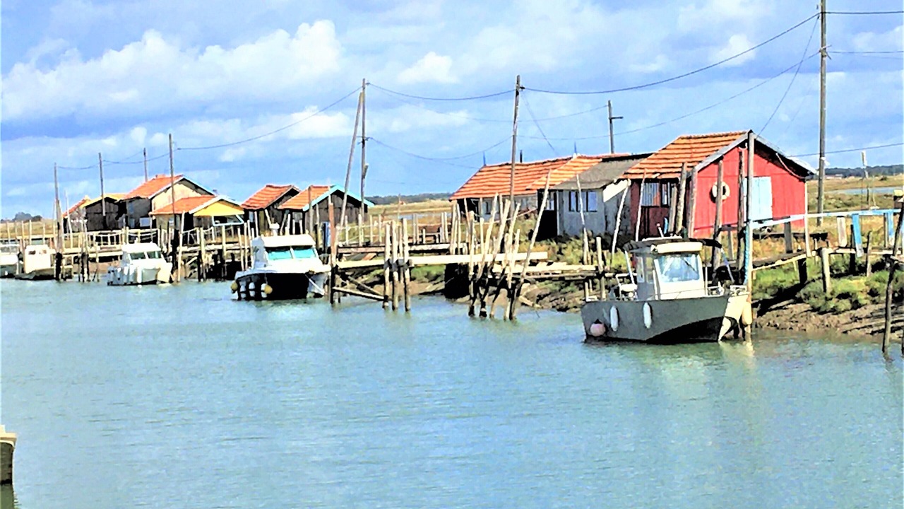 Photo of Others in Saint-Georges-de-Didonne