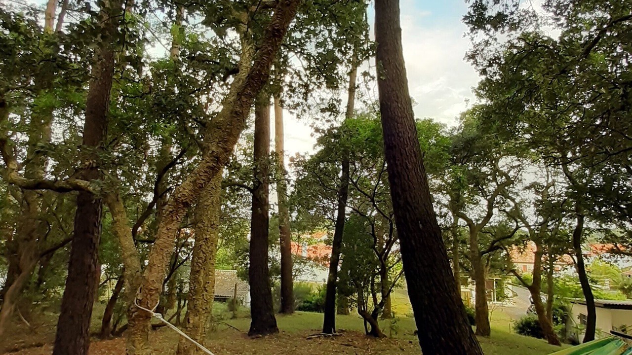 Photo of Others in Tarnos