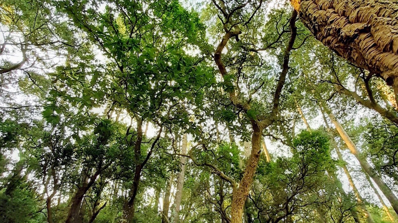 Photo of Outdoor in Tarnos