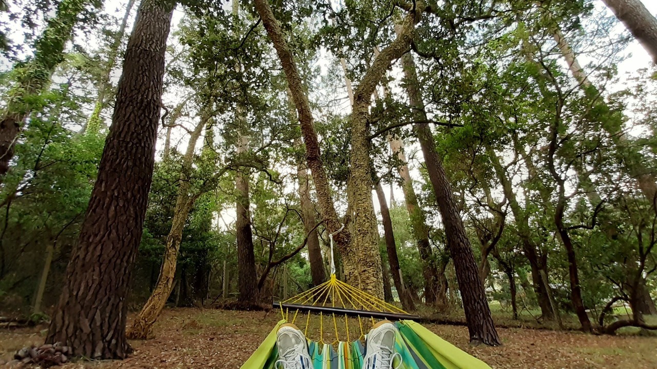 Photo of Outdoor in Tarnos
