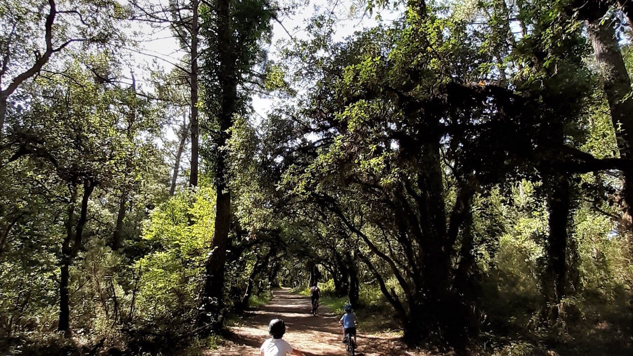 Photo of Outdoor in Tarnos