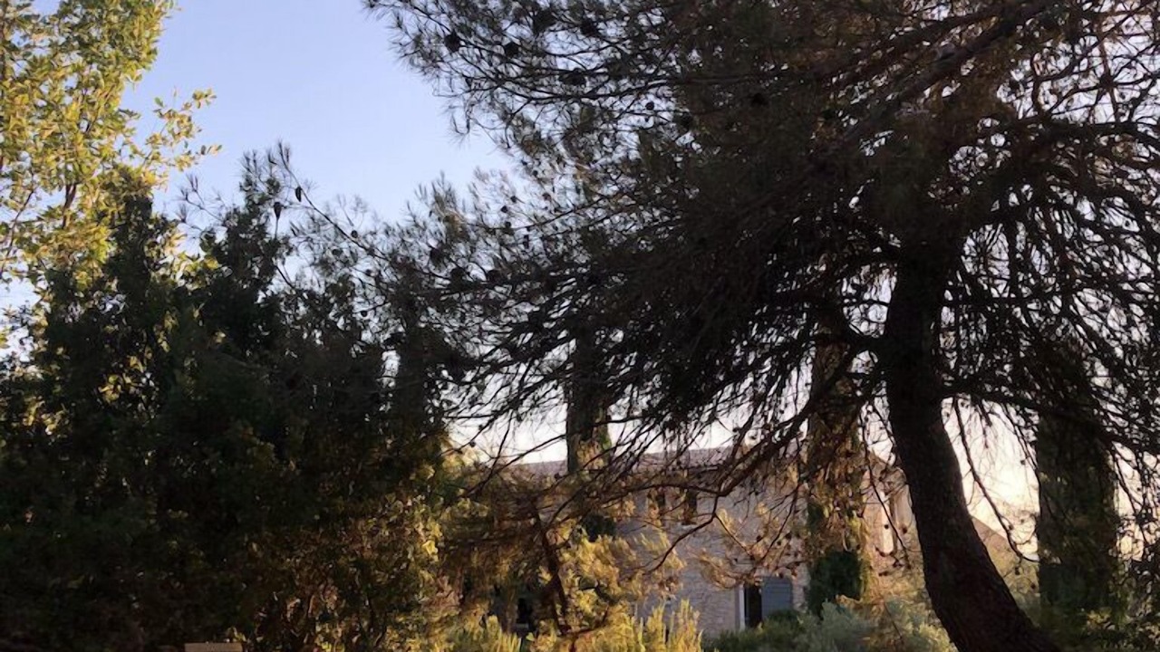 Photo of Outdoor in Rians