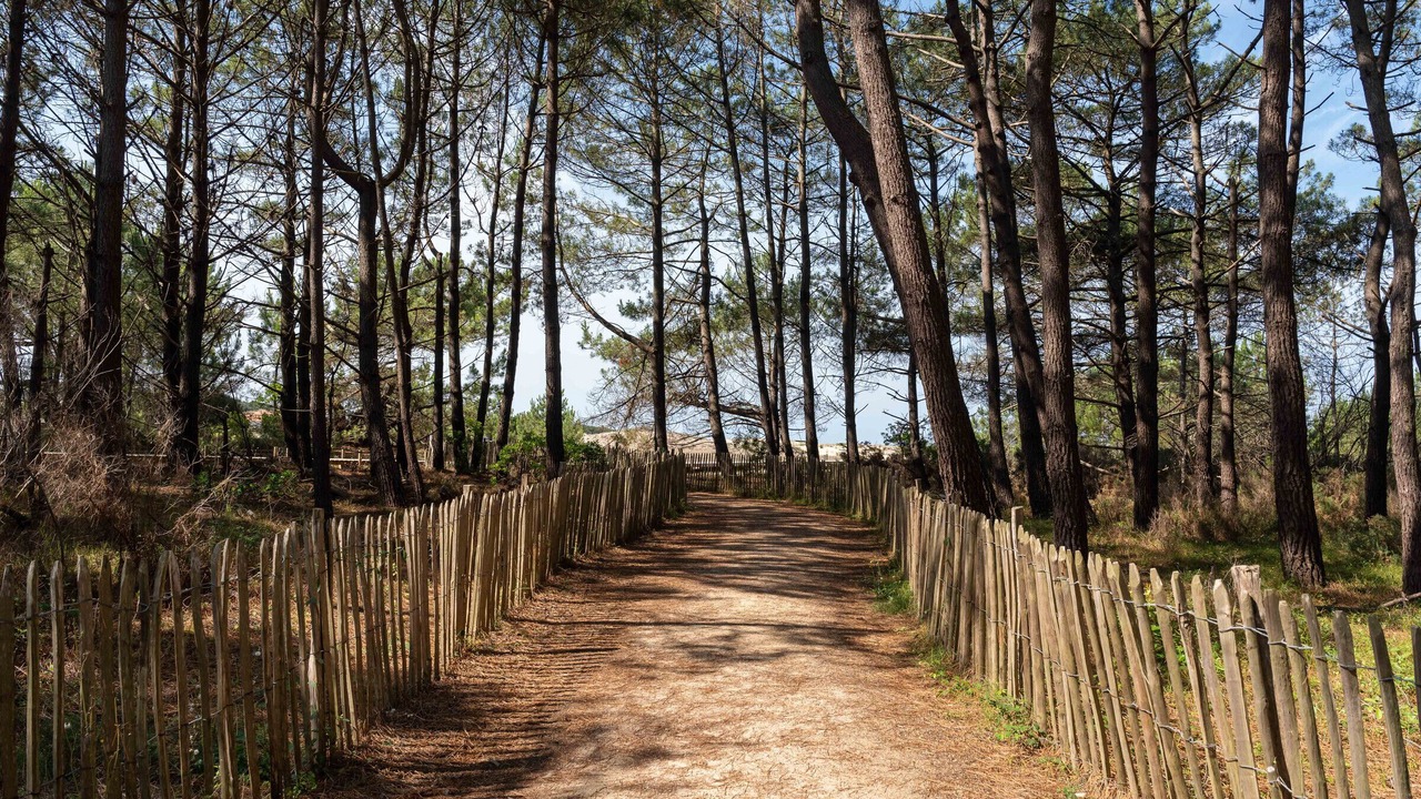 Photo of Outdoor in Biscarrosse Plage