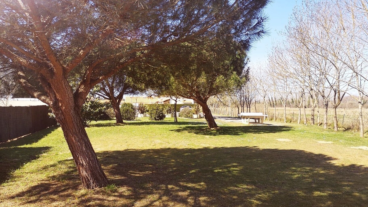 Photo of Outdoor in Les Mathes