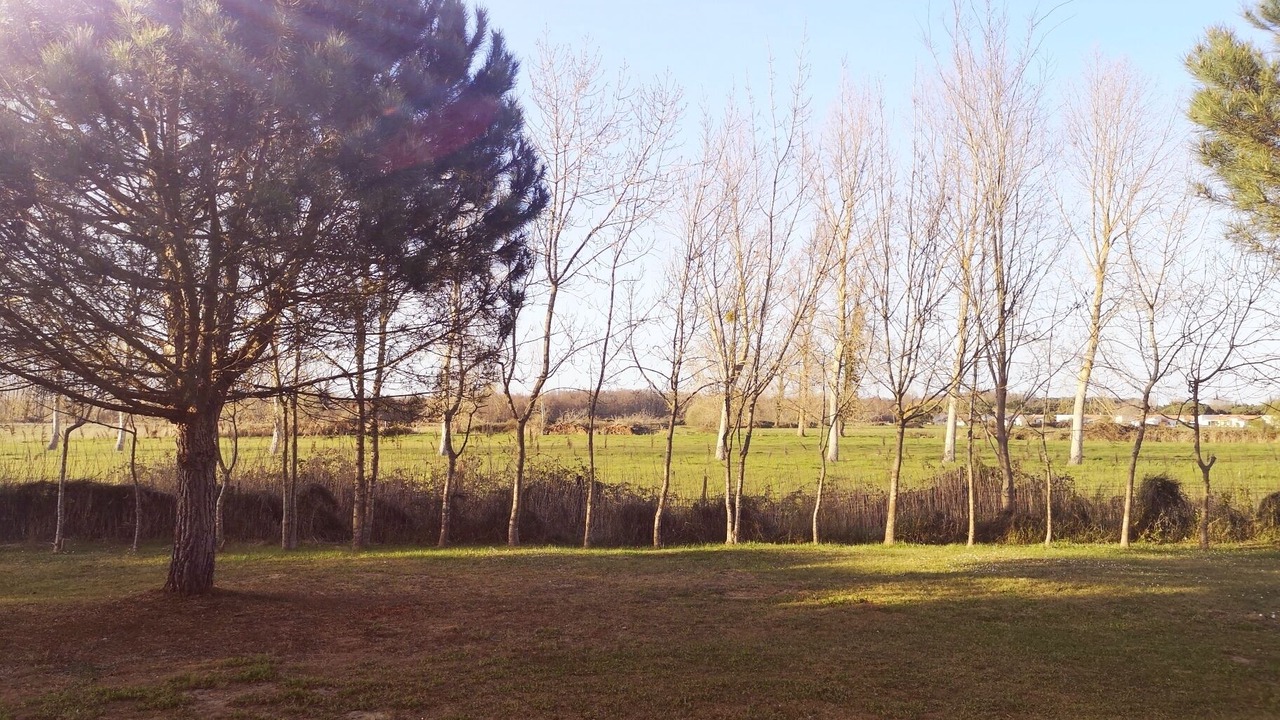Photo of Outdoor in Les Mathes