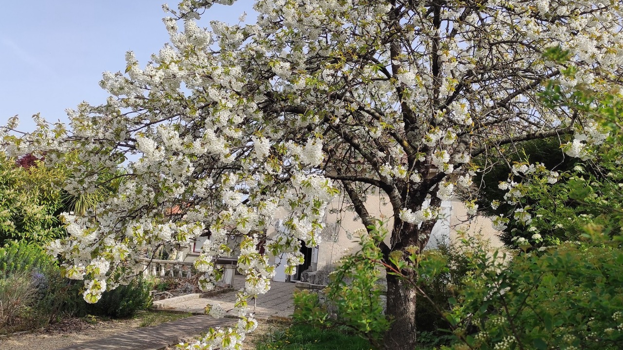 Photo of Outdoor in Cognac