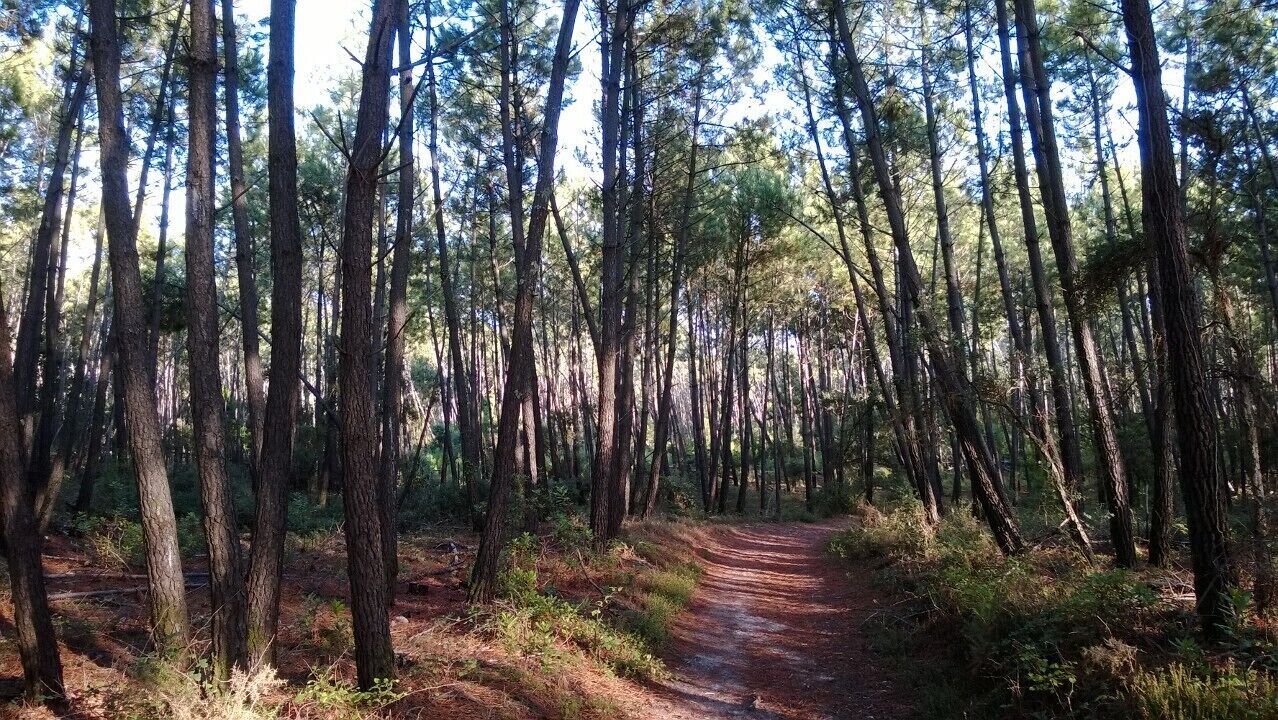 Photo of Outdoor in Vieux-Boucau-les-Bains