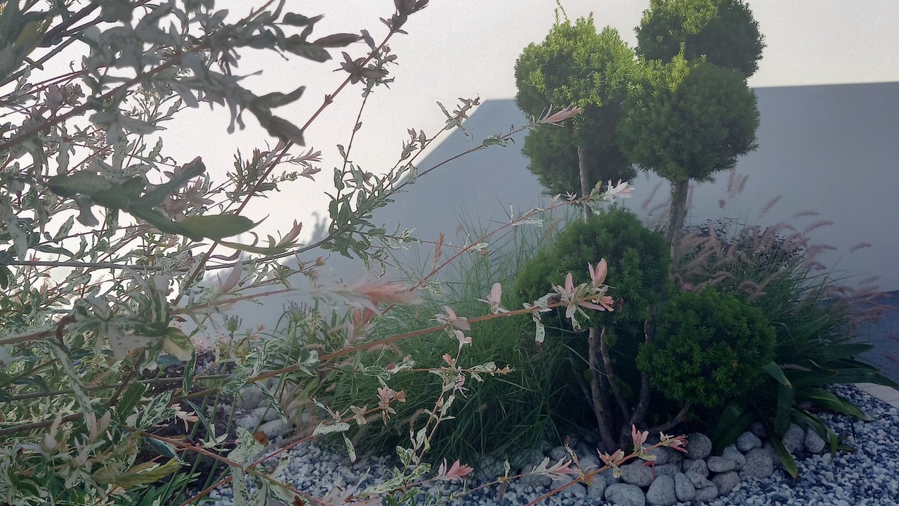 Photo of Outdoor in Soubise