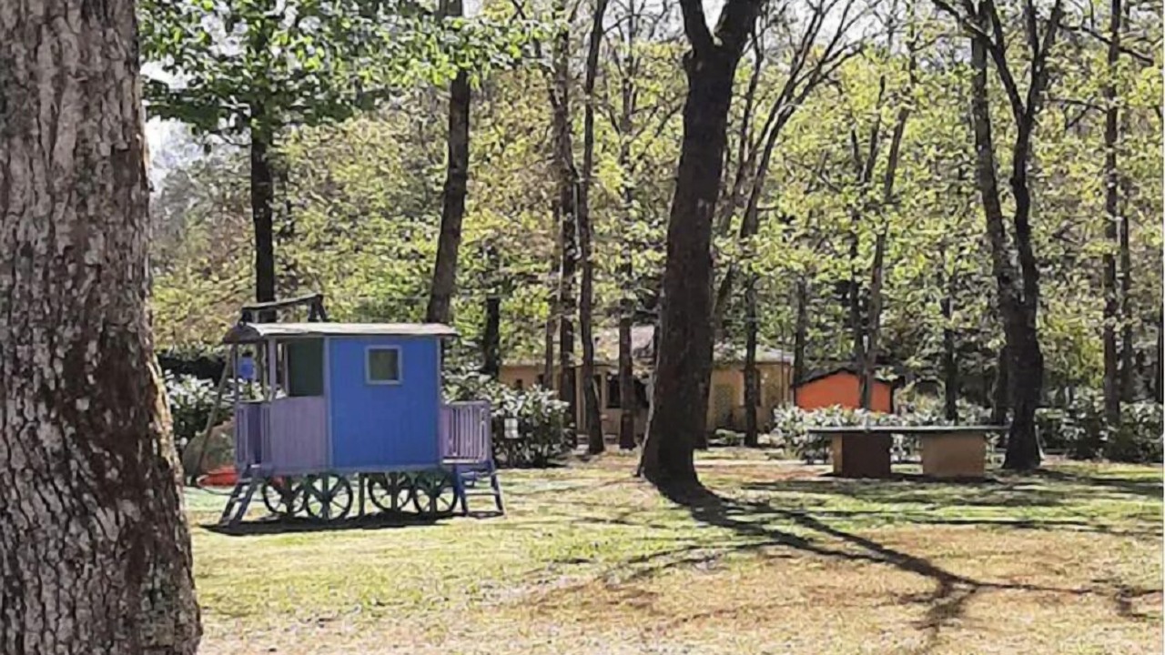 Photo of Outdoor in Calviac-en-Perigord
