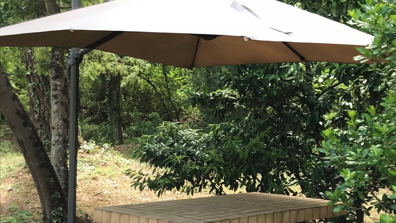 Photo of Outdoor in Gujan-Mestras