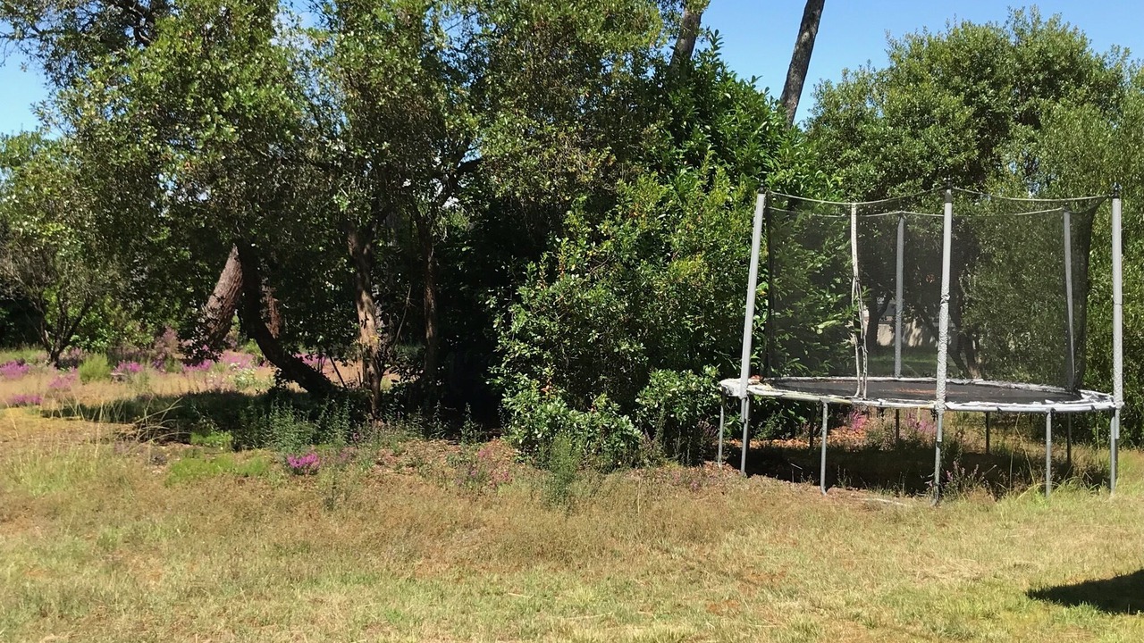 Photo of Outdoor in Gujan-Mestras