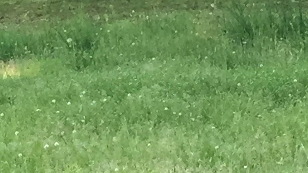 Photo of Outdoor in Saint-Junien