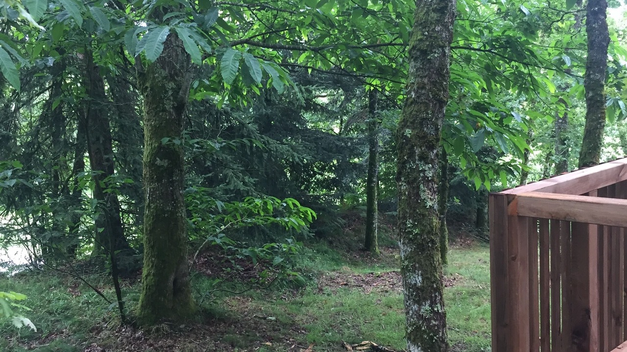 Photo of Outdoor in Saint-Junien