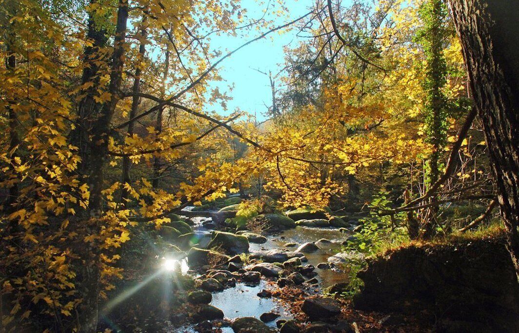 Photo of Outdoor in Saint-Junien