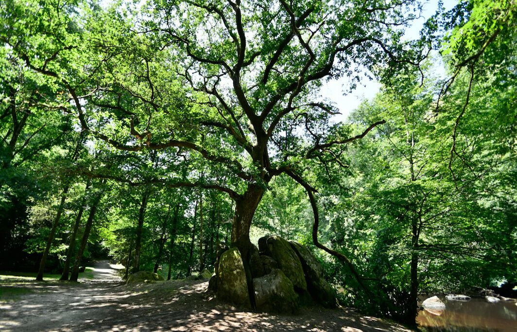 Photo of Outdoor in Saint-Junien
