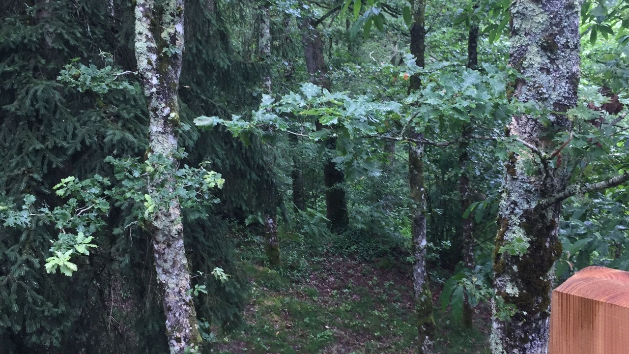 Photo of Outdoor in Saint-Junien
