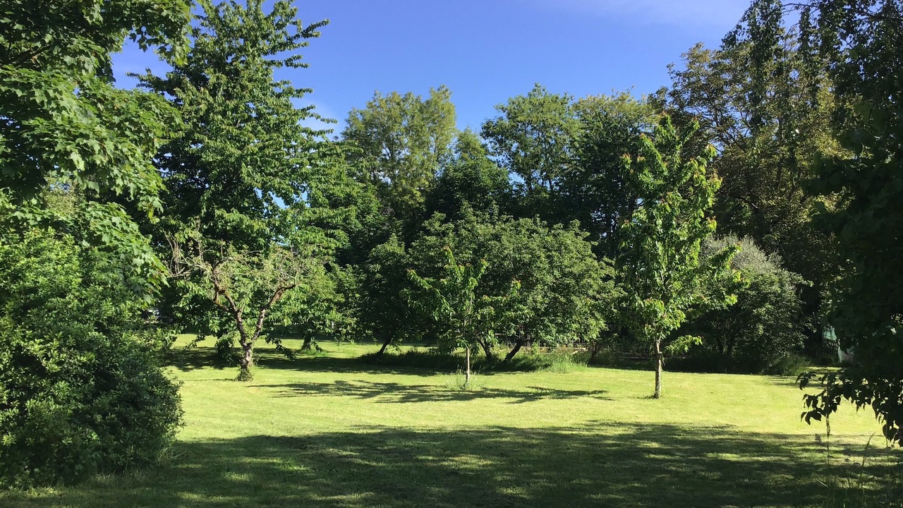 Photo of Outdoor in Limalonges