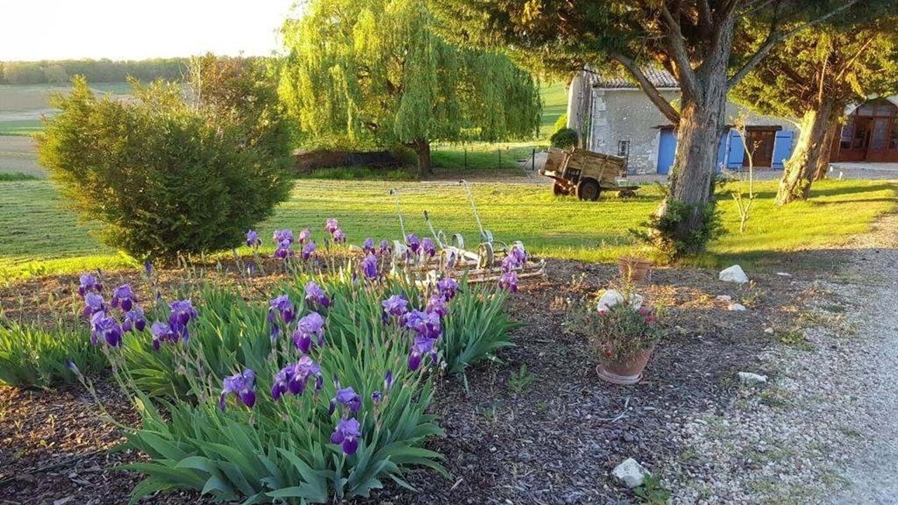 Photo of Outdoor in Saint-Capraise-d'Eymet