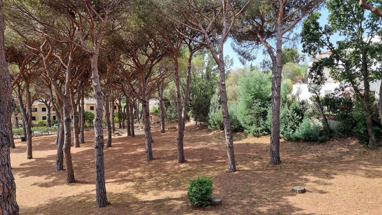 Photo of Outdoor in Les Issambres