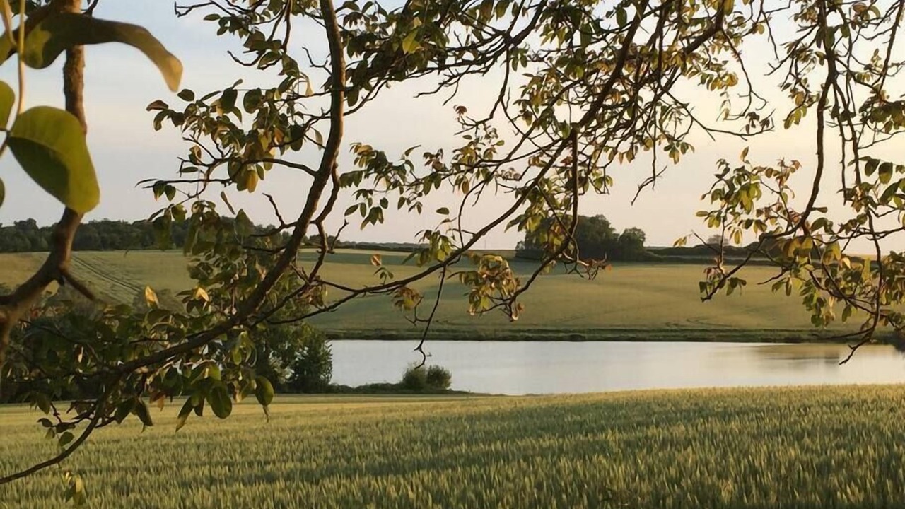 Photo of Outdoor in Poullignac