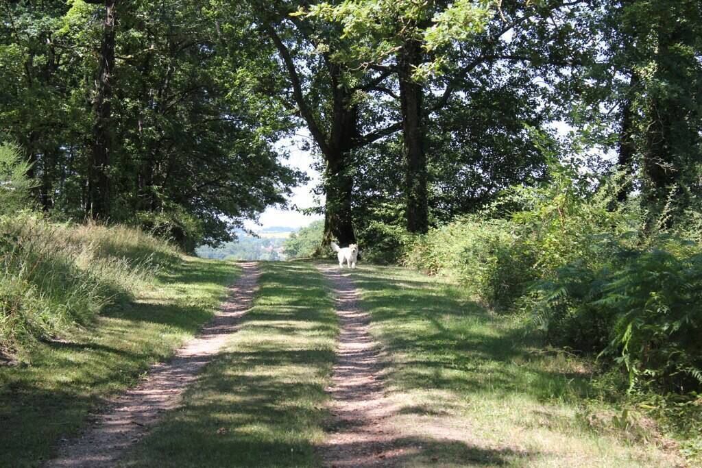 Photo of Others in Poullignac