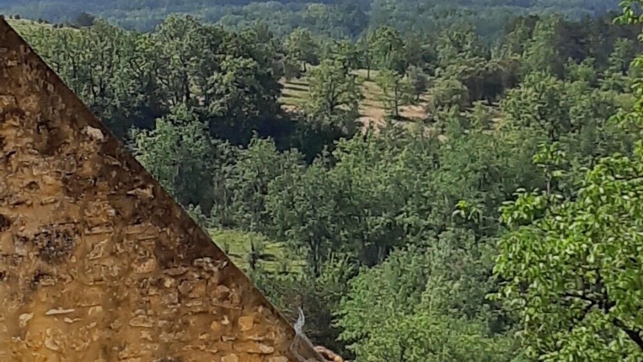 Photo of Others in Daglan