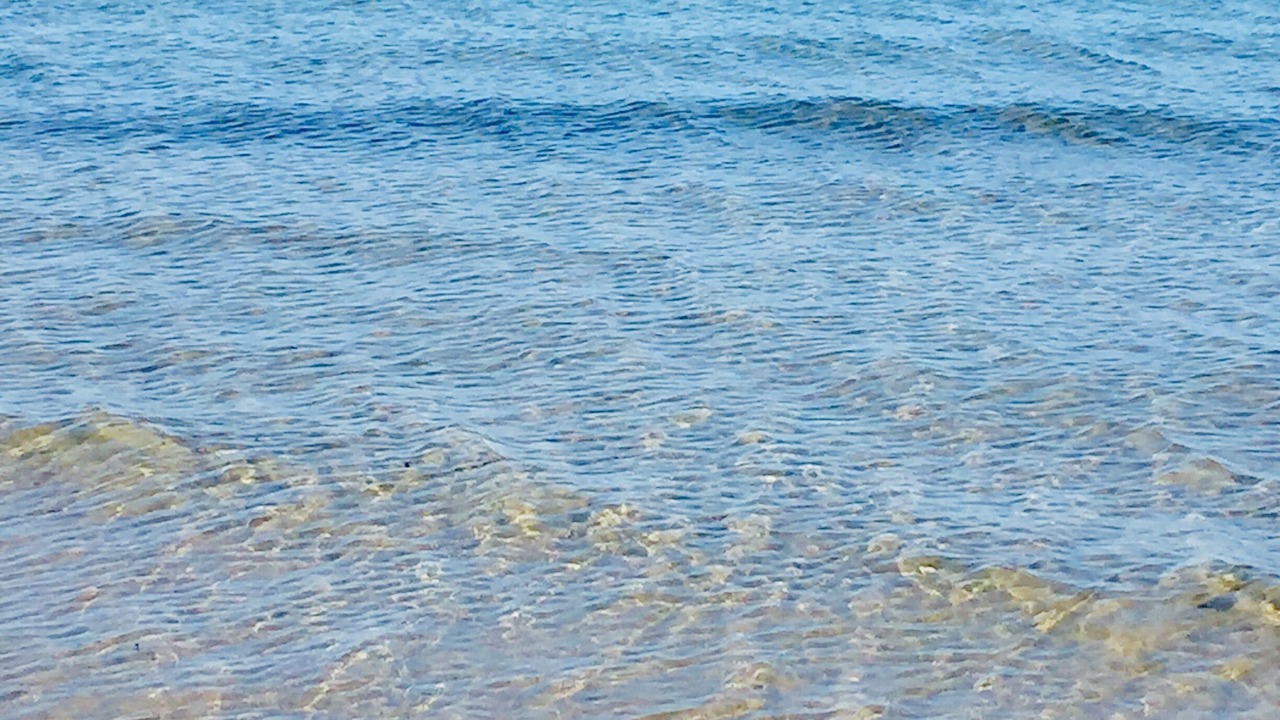 Photo of Others in La Capte