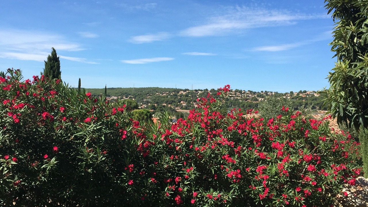 Photo of Outdoor in Velaux