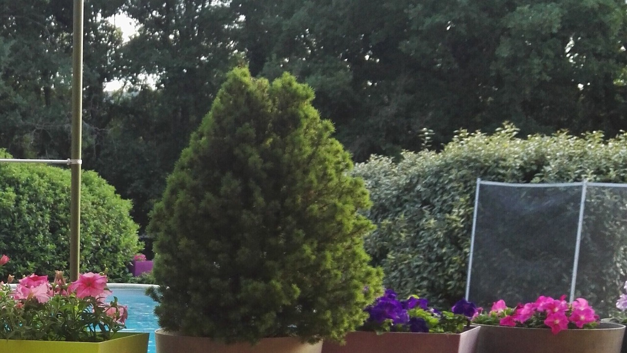 Photo of Outdoor in Provence