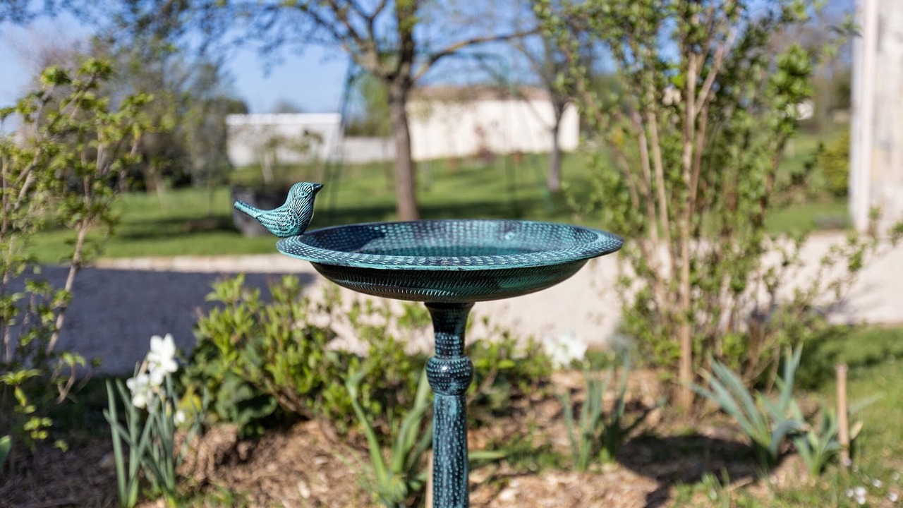 Photo of Outdoor in Chef-Boutonne