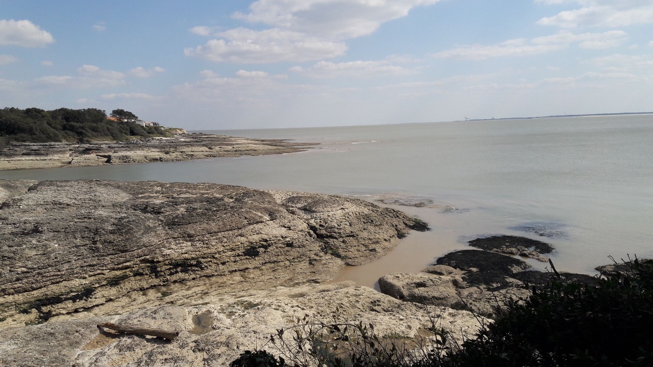 Photo of Others in Vaux-sur-Mer