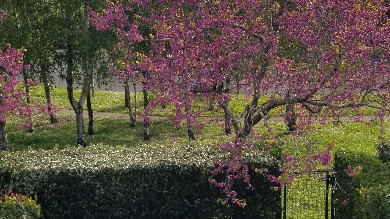 Photo of Outdoor in Vaux-sur-Mer