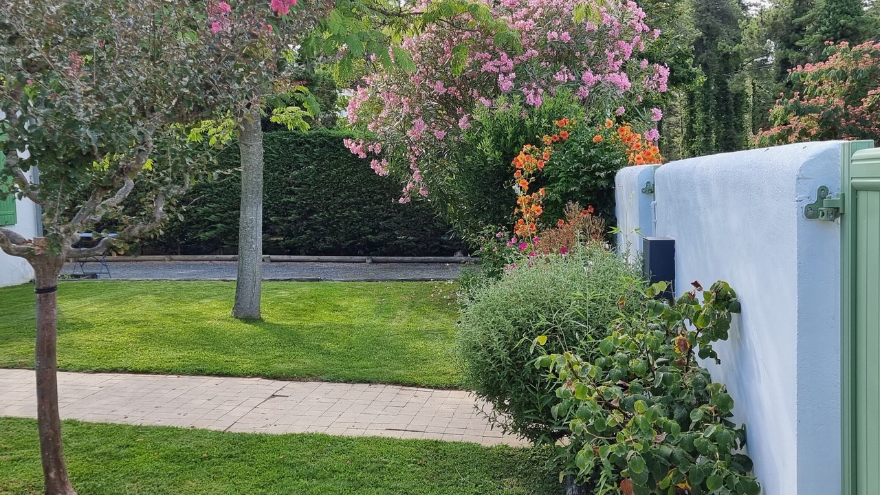 Photo of Outdoor in Ars-en-Re
