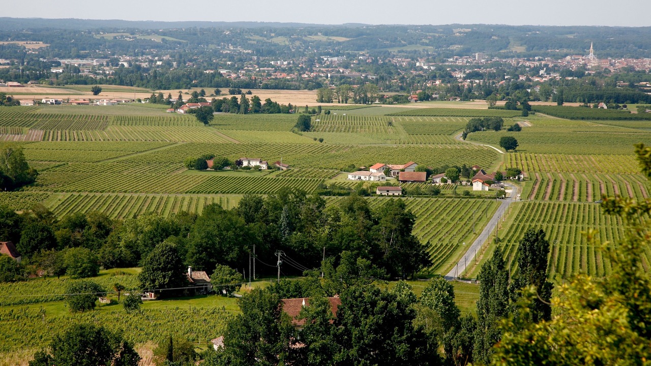 Photo of Outdoor in Monbazillac