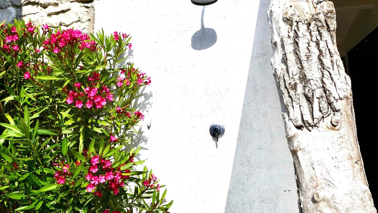 Photo of Outdoor in Saint-Denis-d'Oleron