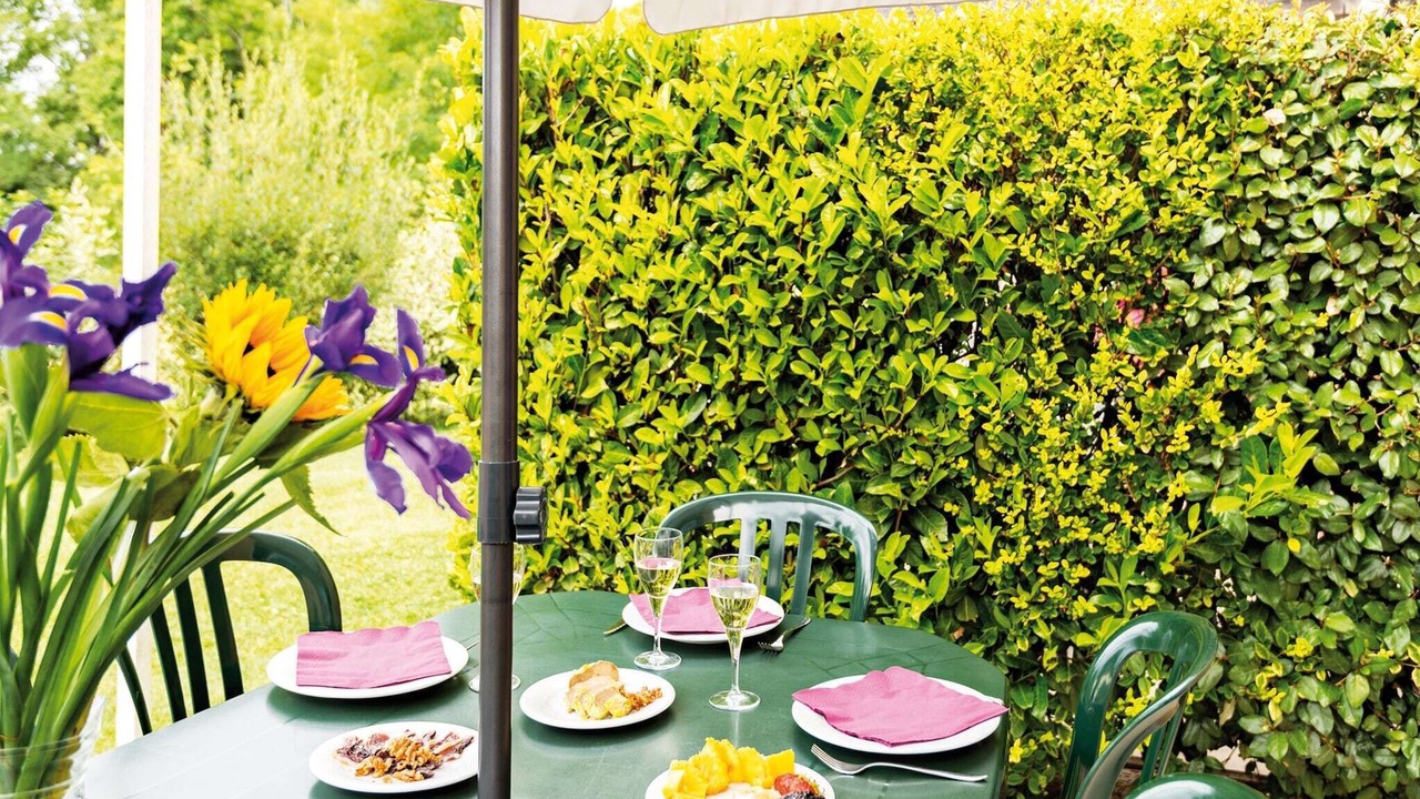 Photo of Patio Balcony in Bergerac