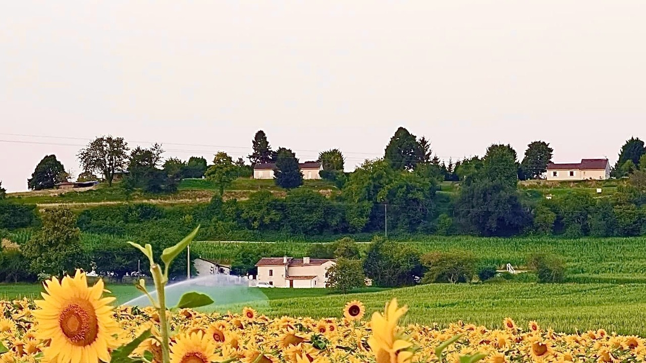 Photo of Outdoor in Champagne-et-Fontaine