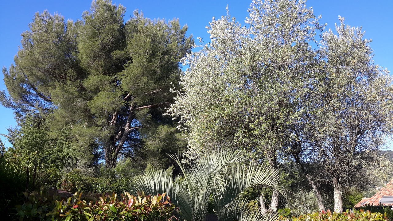 Photo of Outdoor in Le Beausset