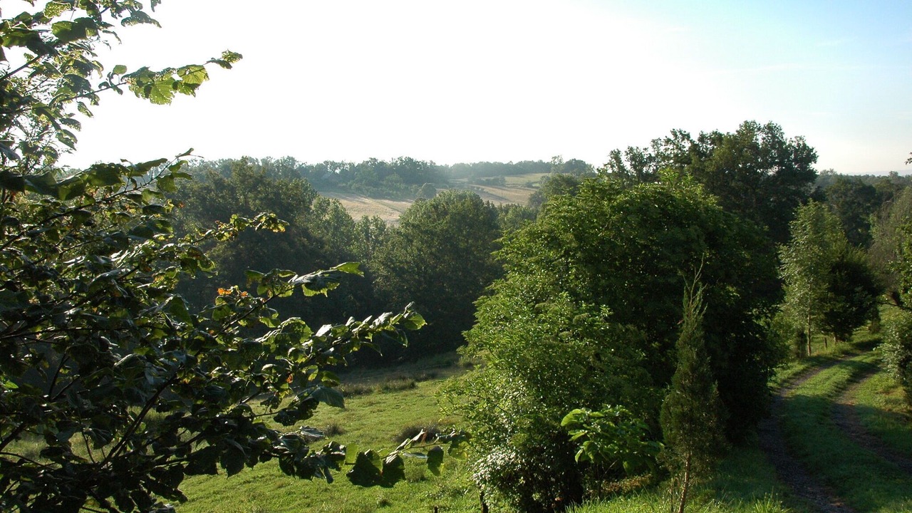 Photo of Others in Saint-Bonnet-la-Riviere