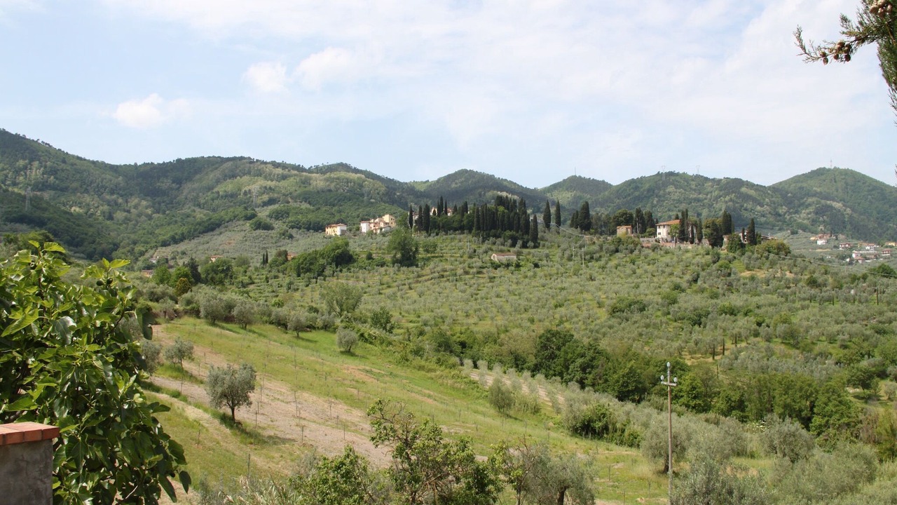 Photo of Others in Quarrata