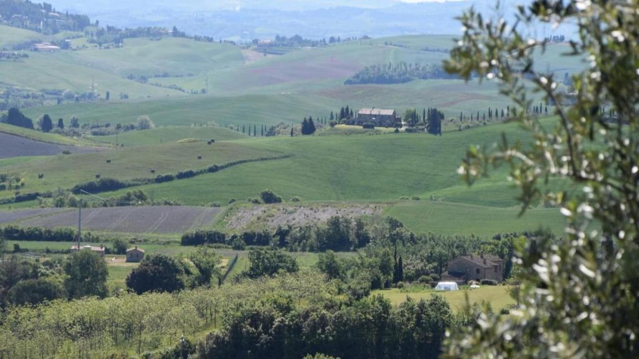 Photo of Others in Chianni