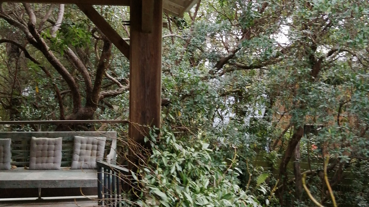 Photo of Patio Balcony in Piraillan