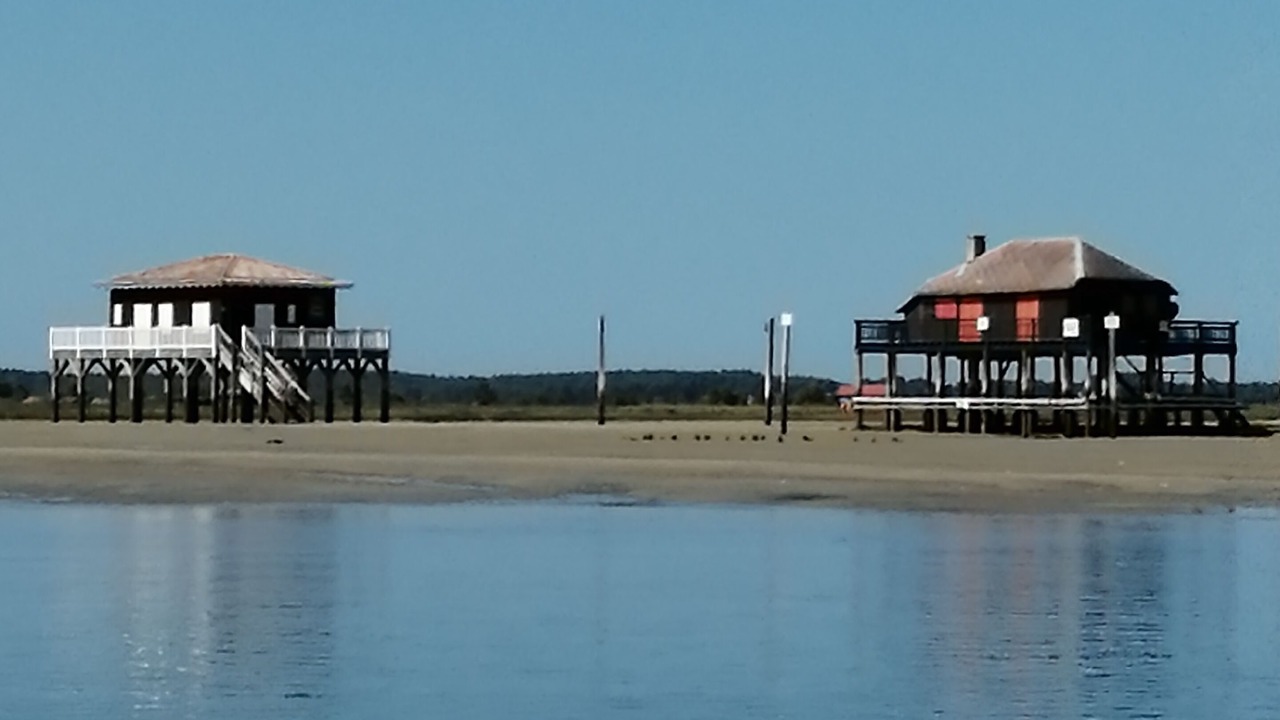 Photo of Others in Piraillan