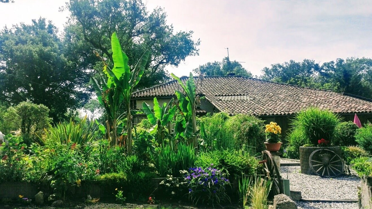 Photo of Outdoor in Saint-Michel-Escalus